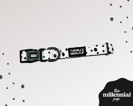Dalmatian Dreams Dog Collar